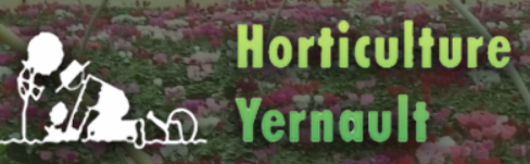 yernault